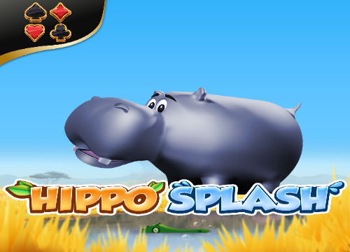 Hippo Splash